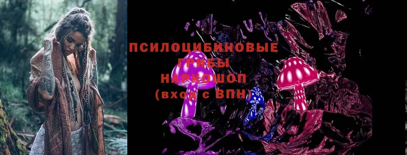 Галлюциногенные грибы MAGIC MUSHROOMS  ОМГ ОМГ вход  Ветлуга 