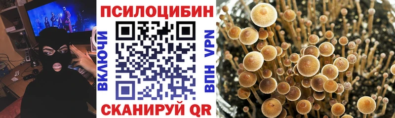 Псилоцибиновые грибы MAGIC MUSHROOMS Ветлуга